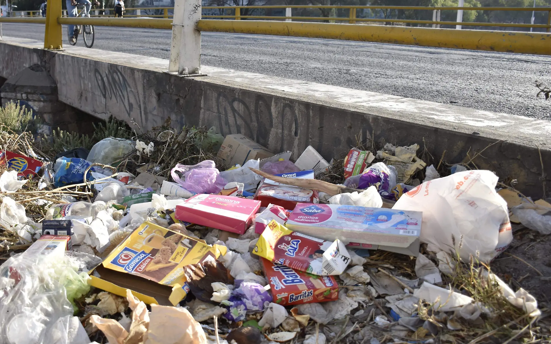 basurapuente morales y rio santiago